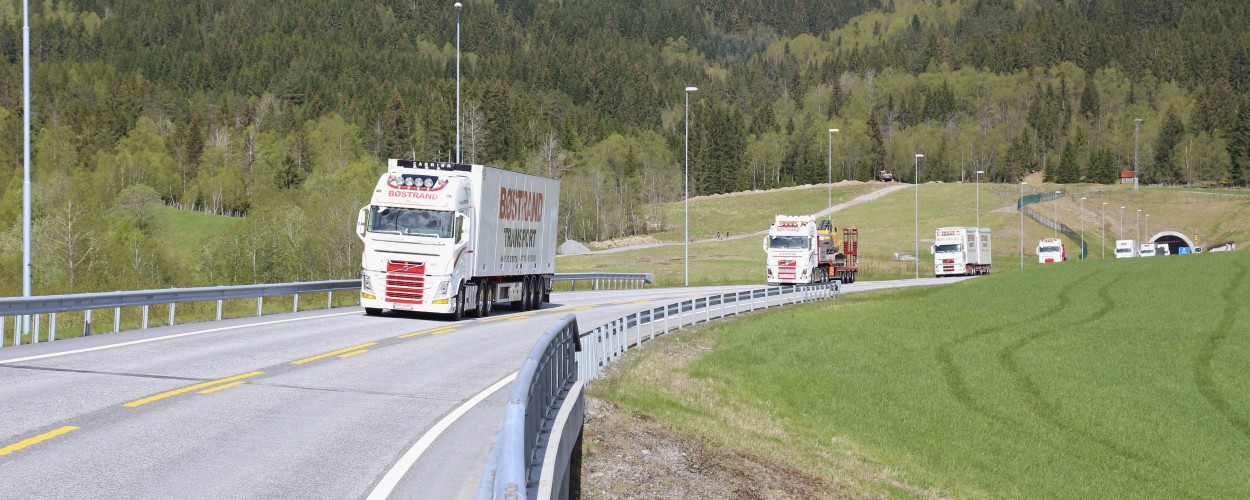 Einetransportør innanlands